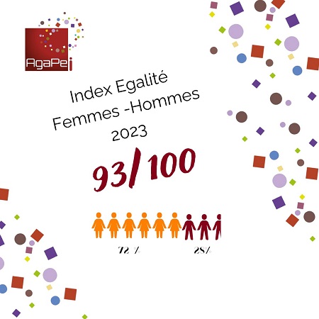 Index égalité femme homme AgaPei